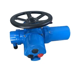 DZW Multi-rotary Electric Actuator thumbnail-1