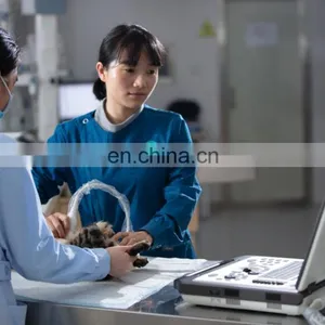 Veterinary Ultrasound Scanner Portable Color 3d Ultrasound Machine Electric Ce Mobile Trolley or Carrying Bag 24 15 LCD Monitor thumbnail-2