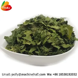 High Quality Organic Dried Celery Flakes Wholesale Price thumbnail-1