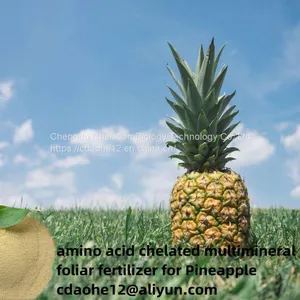 Chelated Calcium Magnesium Zinc Boron Molybdenum Organic Foliar Fruit Fertilizer thumbnail-2