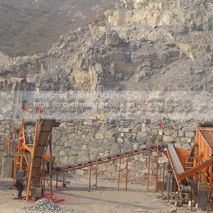 Circular Motion Vibrating Screen thumbnail-1