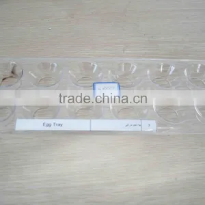 Egg Tray Plastic Mould thumbnail-1
