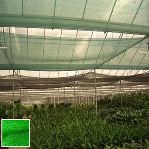 Mono Shade Net 50% Shade Rate For Greenhouse HDPE Netting UV Stablized thumbnail-5