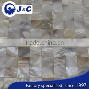 Natural Varicolored River Shell Mosaic thumbnail-1