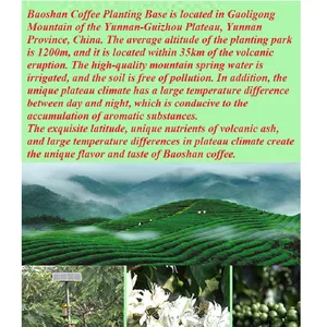 Coffee Coffee Beans Arabica thumbnail-5