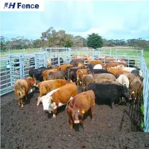 Electro-Galvanized Cattle Panels 10-Gauge Steel for Long-Term Pasture Use thumbnail-1