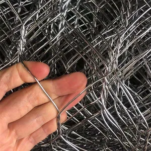 PVC-beschichtetes oder verzinktes Sechsecknetz für Geflügel- und Tierbehausungen thumbnail-2