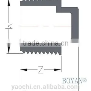 Pvc BS Thread End Cap Plug thumbnail-2