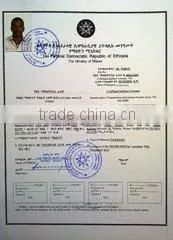Daniel Kinfe Borgane company overview - view 3 thumbnail