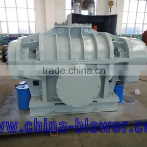 L81WD Roots Blower thumbnail-4