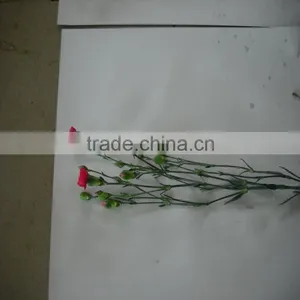 Elegant in Smell Factory Direct High Quality Flower Carnation thumbnail-3