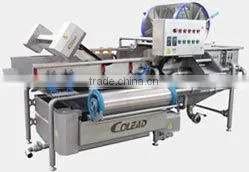 Bean Sprout Washing and Peeling Machine Line thumbnail-1