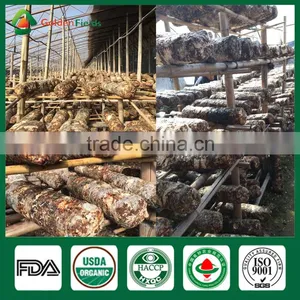 Shiitake Mushroom Compost,Cancer Cure Mushroom,Frozen Shiitake thumbnail-5