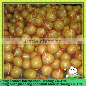 Chinese Pomelo Factory thumbnail-1