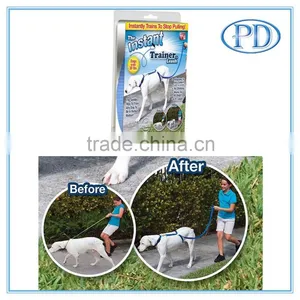 Dog Leash thumbnail-1