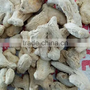 Buy High Quality Dried Ginger Whole From Chinese Factory Low Price thumbnail-2
