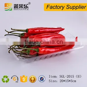 PET Material Plastic Packing Tray thumbnail-6