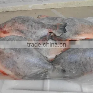 FROZEN BLACK POMFRET WHOLE ROUND thumbnail-1