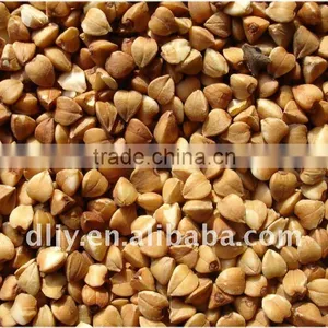 Roasted Buckwheat Kernel New Crop 2011 thumbnail-1