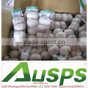 Fresh Natural Garlic Price thumbnail-2