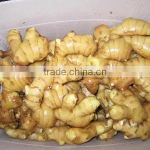 2015 New Crop Fresh Ginger, Air Dry Fresh Ginger, Chinese Fresh Ginger Price thumbnail-1