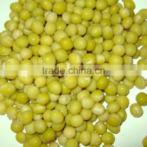 CHEAP CANNED GREEN PEA IN WATER CAN FOOD thumbnail-1