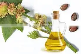 Castor Oil (OEM / ODM ) / Bulk Castor Seed Oil / Refined Castor Oil (Pale Pressed Grade) thumbnail-3