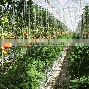Jute Twine For Tomato Green House thumbnail-1