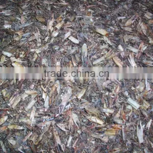 High Quality Dried Shrimp Body Shell From Bangladesh thumbnail-4