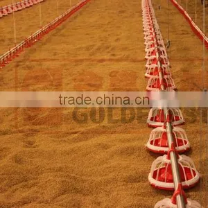 Poultry Farm Feeding Equipment thumbnail-1