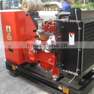 Camda Factory Biogas Generator Sets With/without Canopy 250kw Biogas Generator thumbnail-5