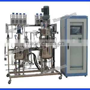 Stainless Steel Fermenter Bioreactor for Lab thumbnail-1