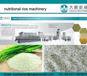 Eagle Company DP70 Artificial Rice Equipment/extruder Line/making Plants/making Factory in China thumbnail-1