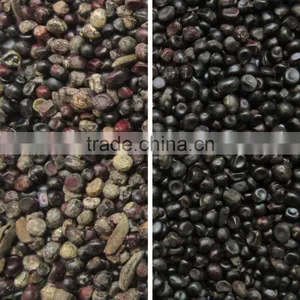 New Arrival CCD Seed Optical Machine thumbnail-2