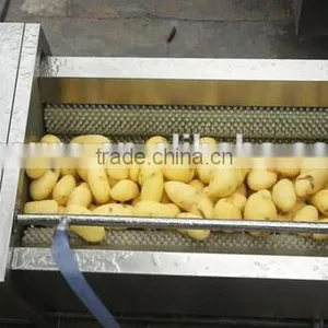 Potato Washing Peeling Prodcution Line Processing Line thumbnail-1