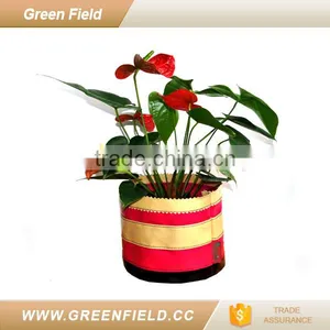 Canvas Grow Bag Color Custom Flower Pot thumbnail-1