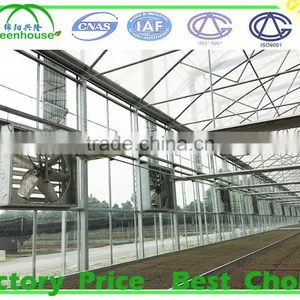 Agricultural Glass Greenhouse for Sale thumbnail-2