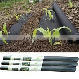 Wenzhou Shengen Nonwoven Co., Ltd. company overview - view 3 thumbnail