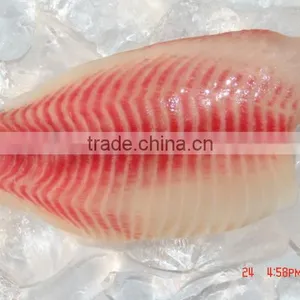 Frozen Tilapia Fish Fillet (Oreochromis Niloticus) thumbnail-4