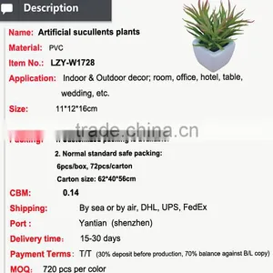 Mini Decorative Home and Office Table Potted Succulent Plant thumbnail-2