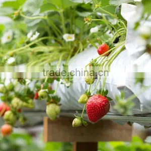 Coco Peat Grow Bags thumbnail-1