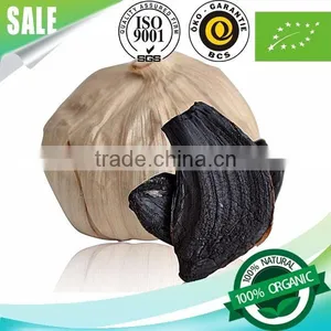 Fermented Garlic/black Garlic/white Garlic by Fermention thumbnail-6