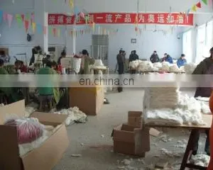 Shijiazhuang Xing Ji Fur Limited company overview - view 2 thumbnail