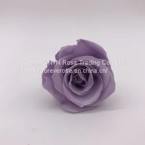 Wholesale3-4cm Elegant Real Touch Preserved Rose Flower thumbnail-2