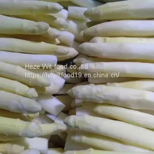 IQF White Asparagus Counts and Center Cuts thumbnail-1
