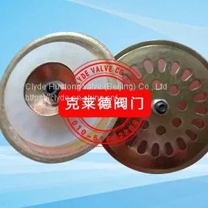 CLYDE Check Valve 1” A2969 thumbnail-3
