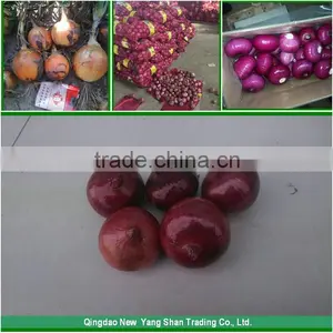 Sell Cheap Onion 2016 Spring Onion Red/Yellow/White Onion thumbnail-4