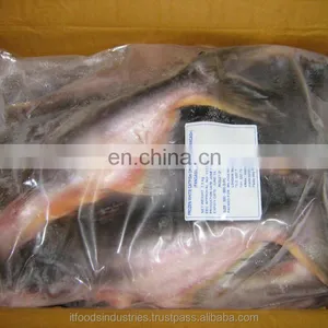 Frozen Pangasius (Pangasius Hypophthalmus) thumbnail-4