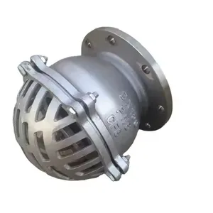 ANSI Bottom Foot Valve 150lb Stainless Steel Cast Steel Cast Iron Ductile Iron GGG40 Lift Strainer Flange Fitting 304 Screen thumbnail-2