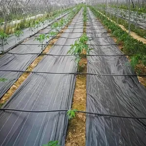Premium Quality Weed Barrier Fabric for Agriculture and Landscaping Projects thumbnail-5
